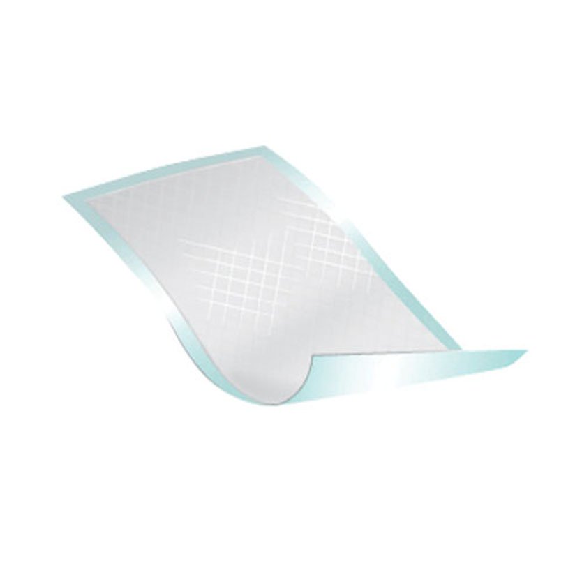 Disposable Underpad Passport™ 22 X 35 Inch Fluff Light Absorbency