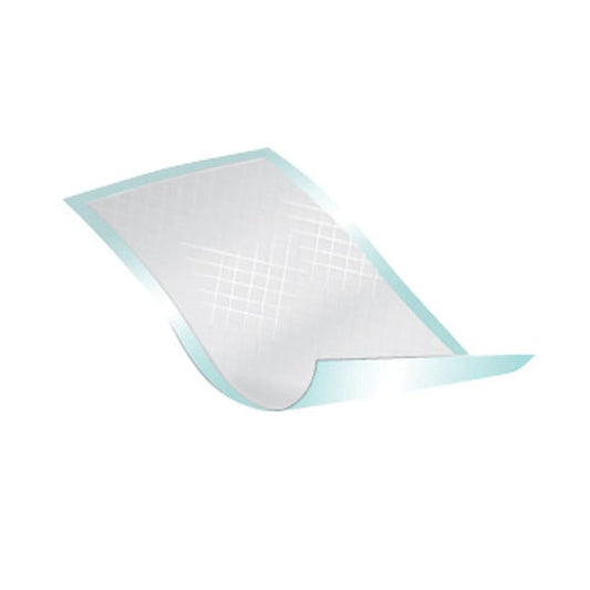 Disposable Underpad Passport™ 22 X 35 Inch Fluff Light Absorbency
