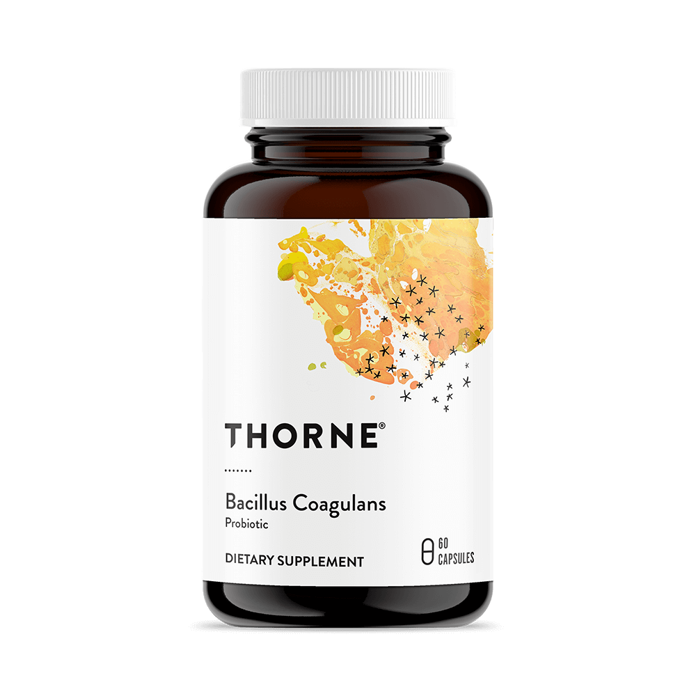 Probiotic Dietary Supplement THORNE® Bacillus Coagulans 60 per Bottle Capsule