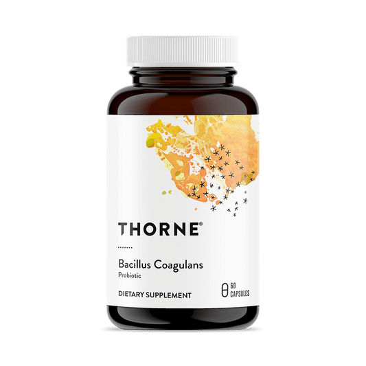 Probiotic Dietary Supplement THORNE® Bacillus Coagulans 60 per Bottle Capsule